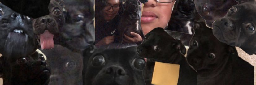 GCanotal's profile banner image