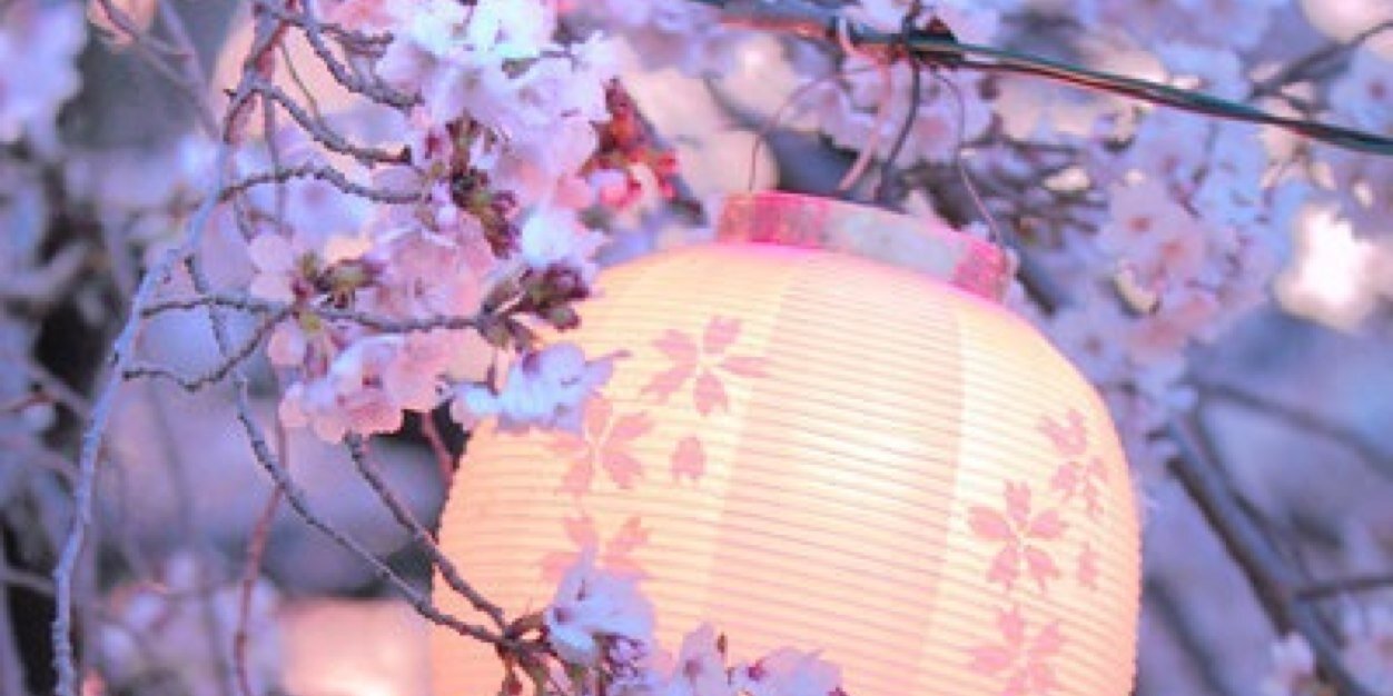 Michelles9's profile banner image