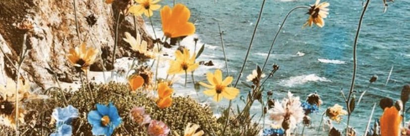 Bárbara Martín banner