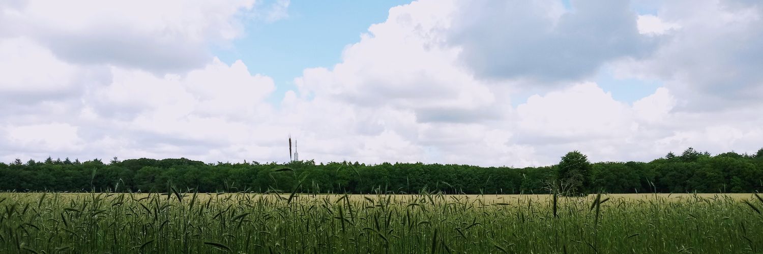 Darley's appartements banner