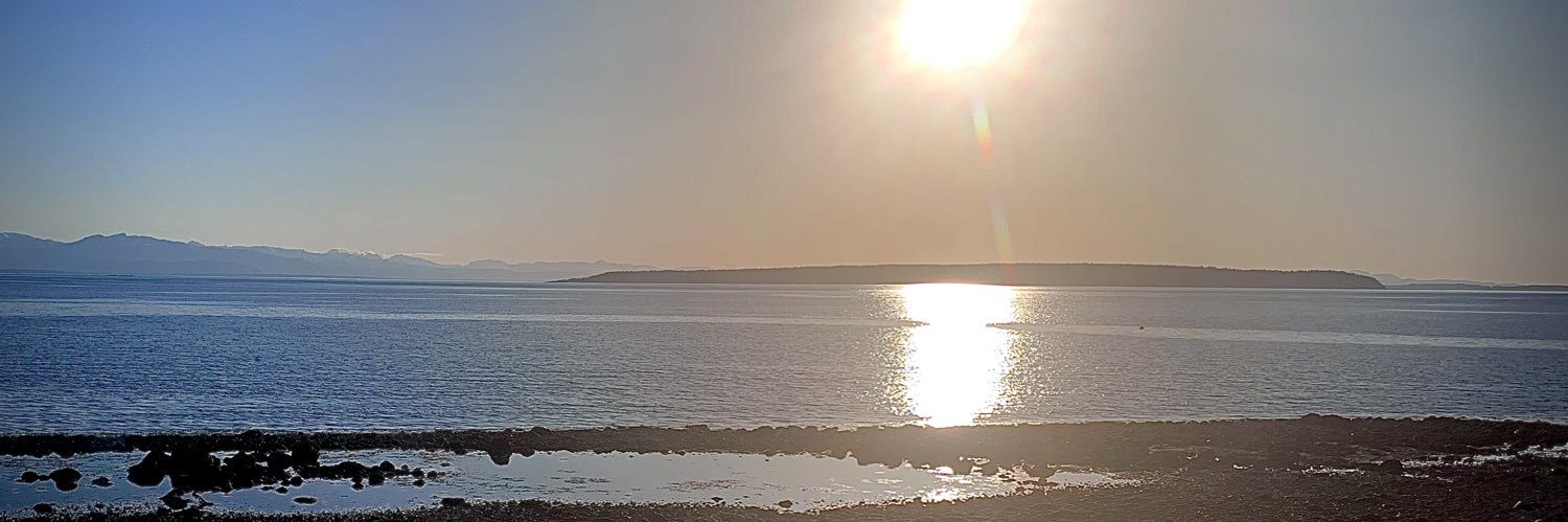 “Free Radical” Marv banner