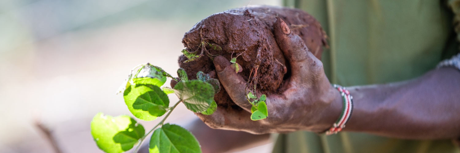 Derrick Milimo banner