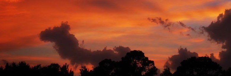 danversscarol's profile banner image