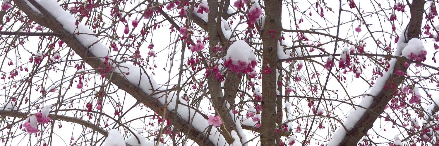 ephemeralobject's profile banner image