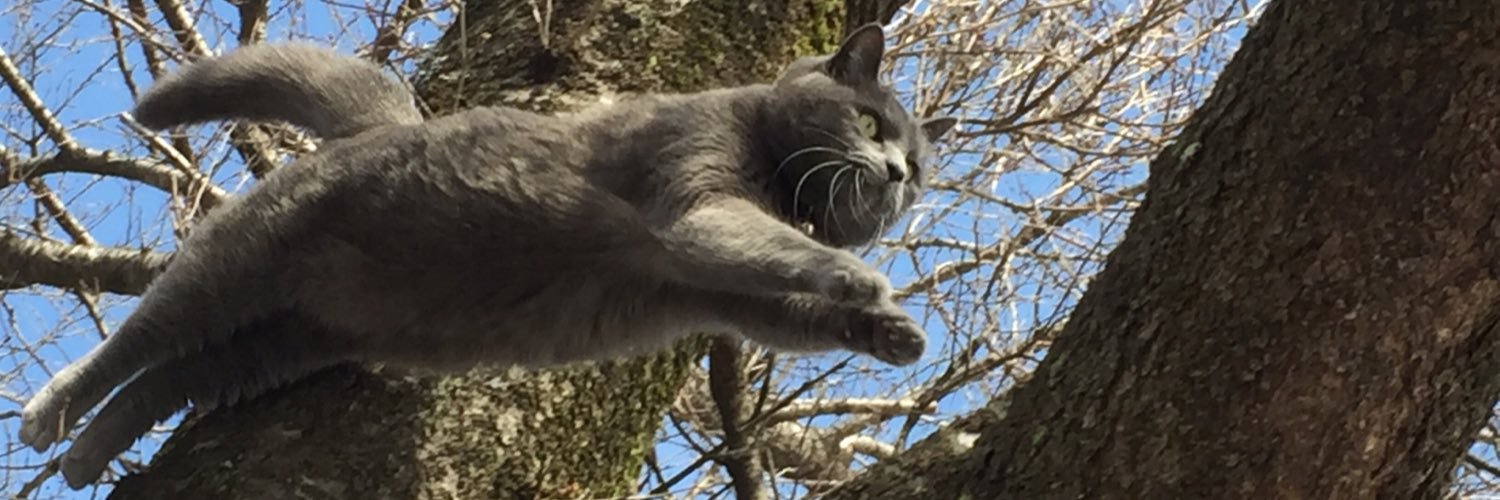 ittamue's profile banner image