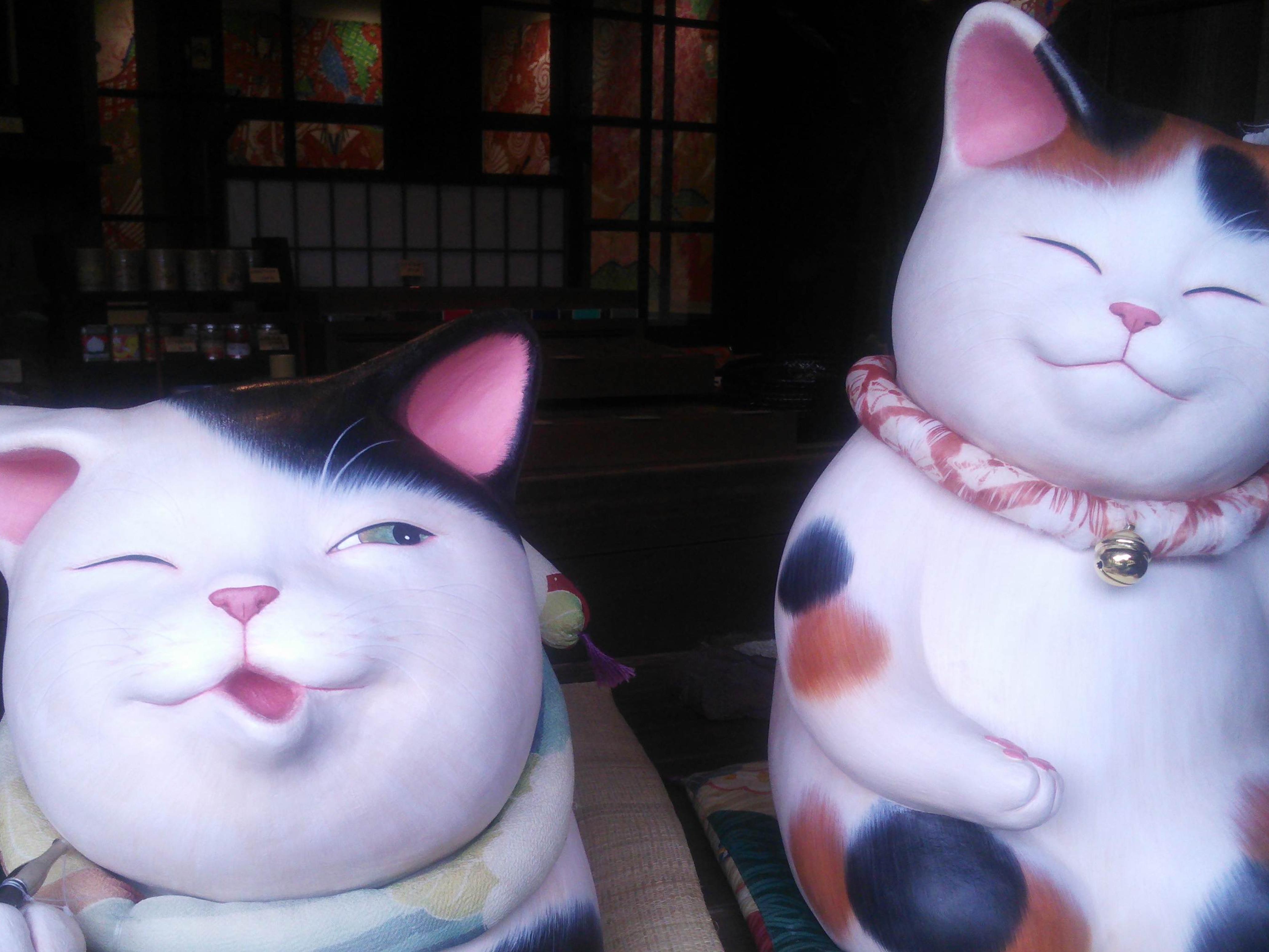 TOM_cat1101's profile banner image