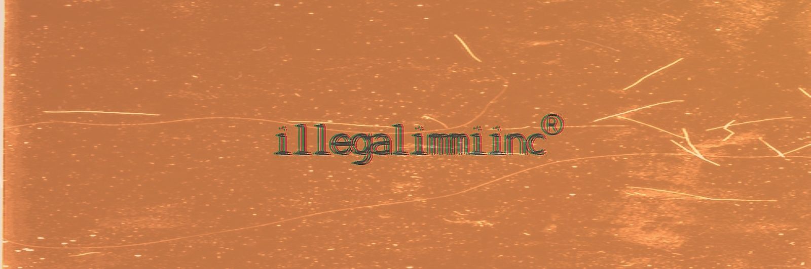 Terence F. Ngwenya banner