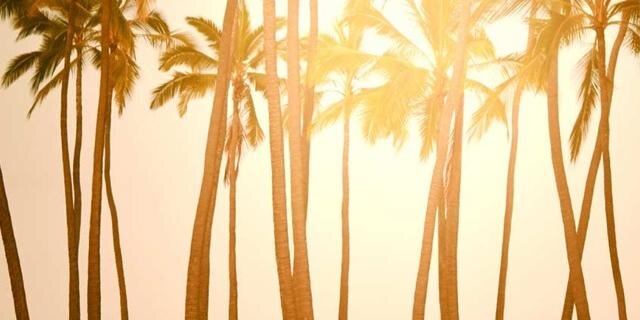 longlivecorreia's profile banner image