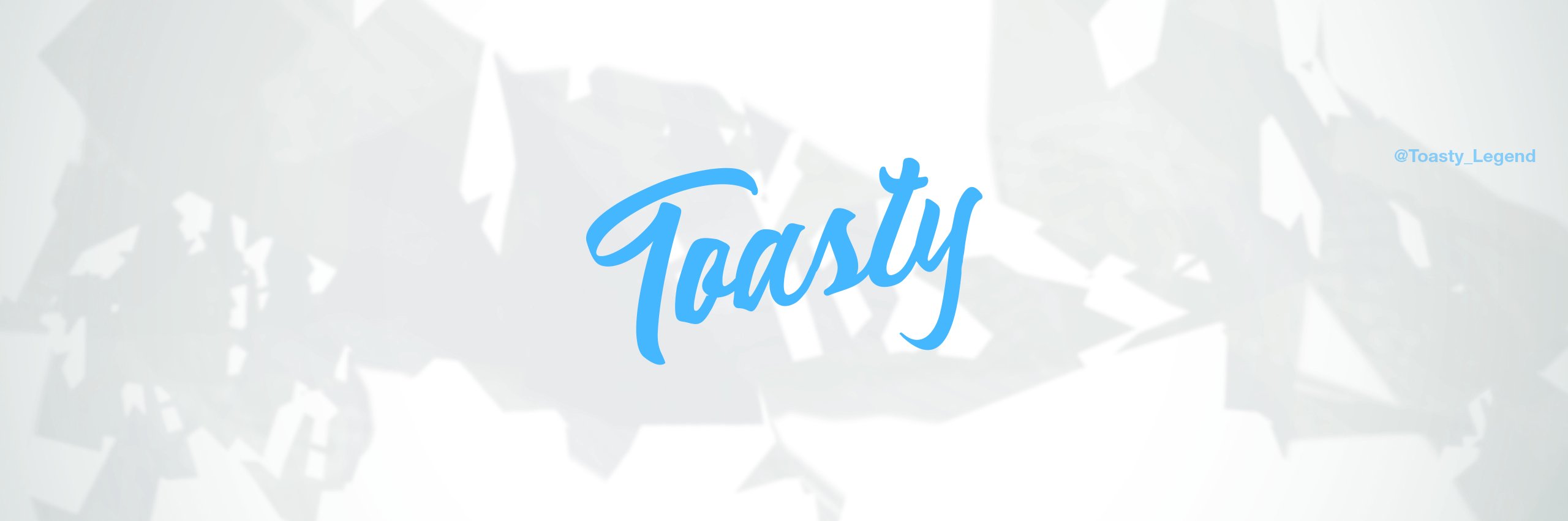 To@sT¥ / Micka banner