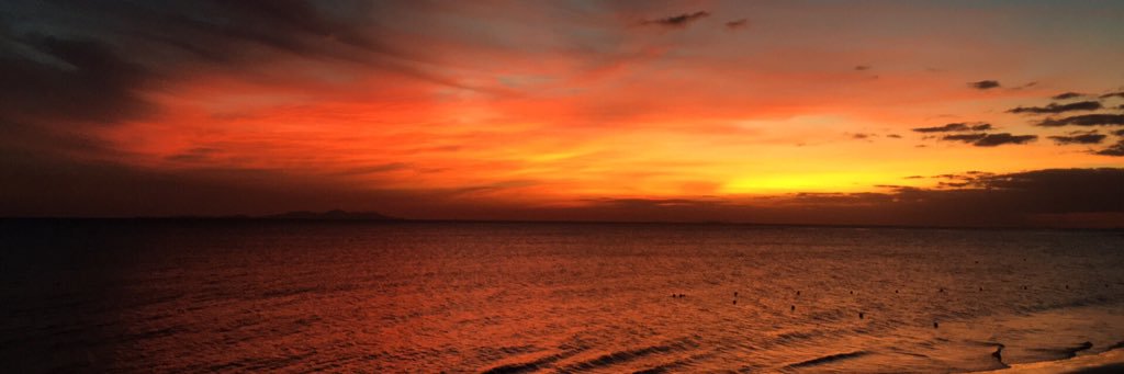 marty shanahan banner