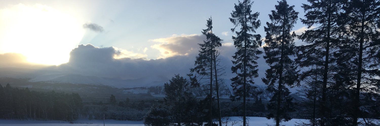 Caroline Robertson banner