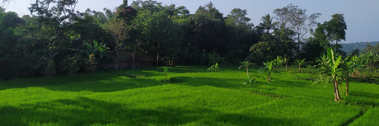 NOVANAVADAH's profile banner image