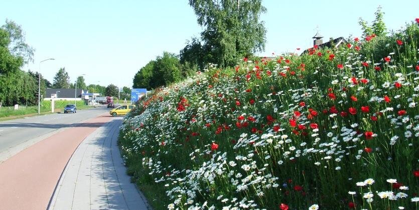 GroenPutten's profile banner image