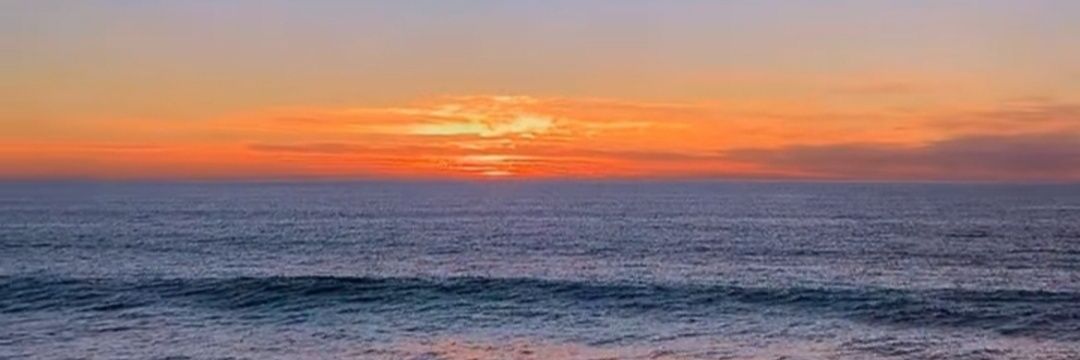 alejandra ⚓🌻 banner