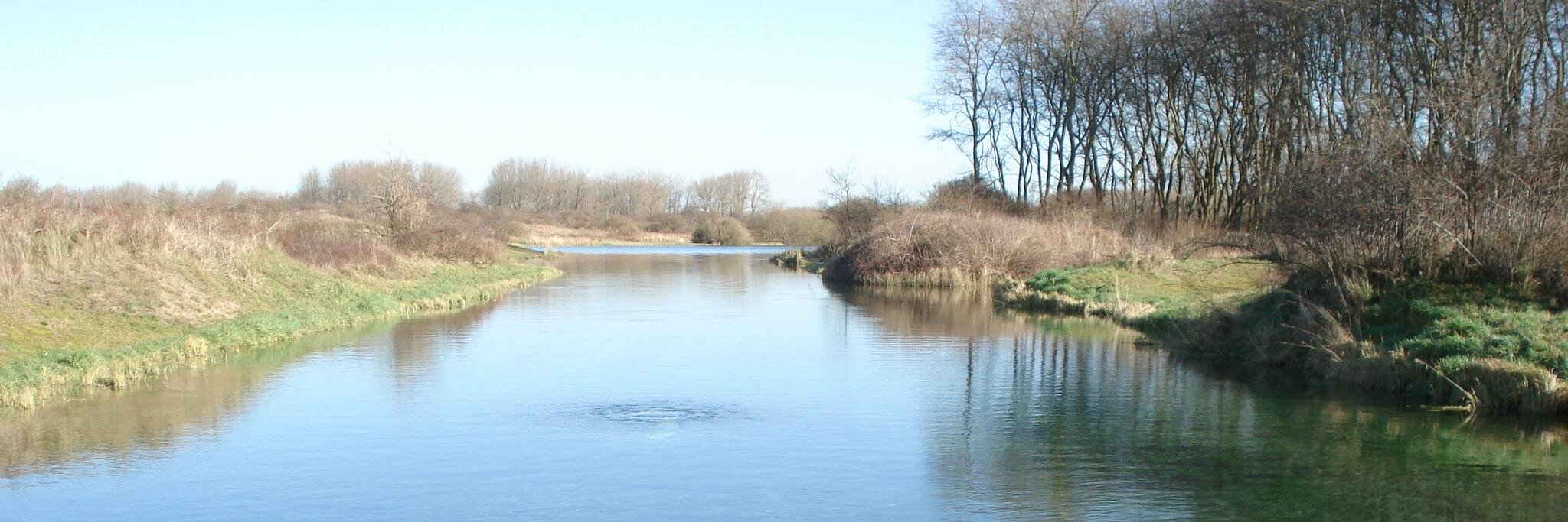 Demoware Project banner