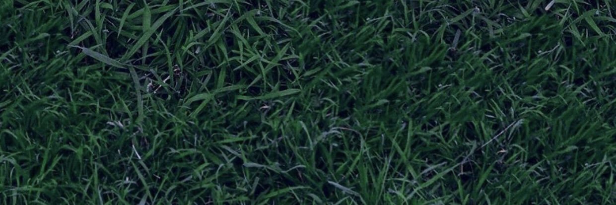 wellwell. banner