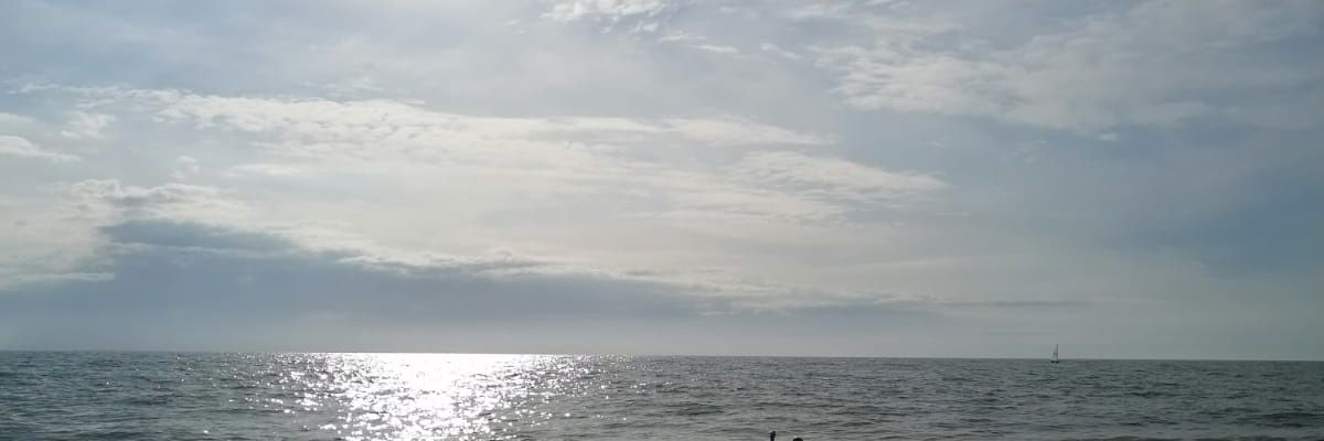 platocrate_'s profile banner image