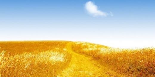 AndersHel's profile banner image