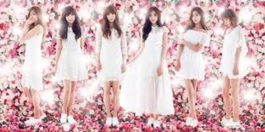 SoshiAPinkSubs's profile banner image