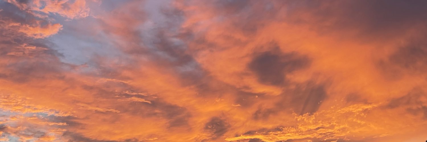 breshion's profile banner image