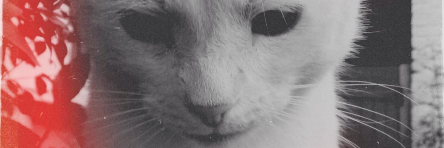 Nick Spence banner