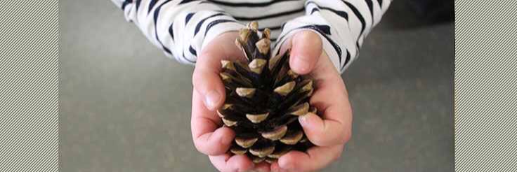 Ronald Openshaw #RONEC banner