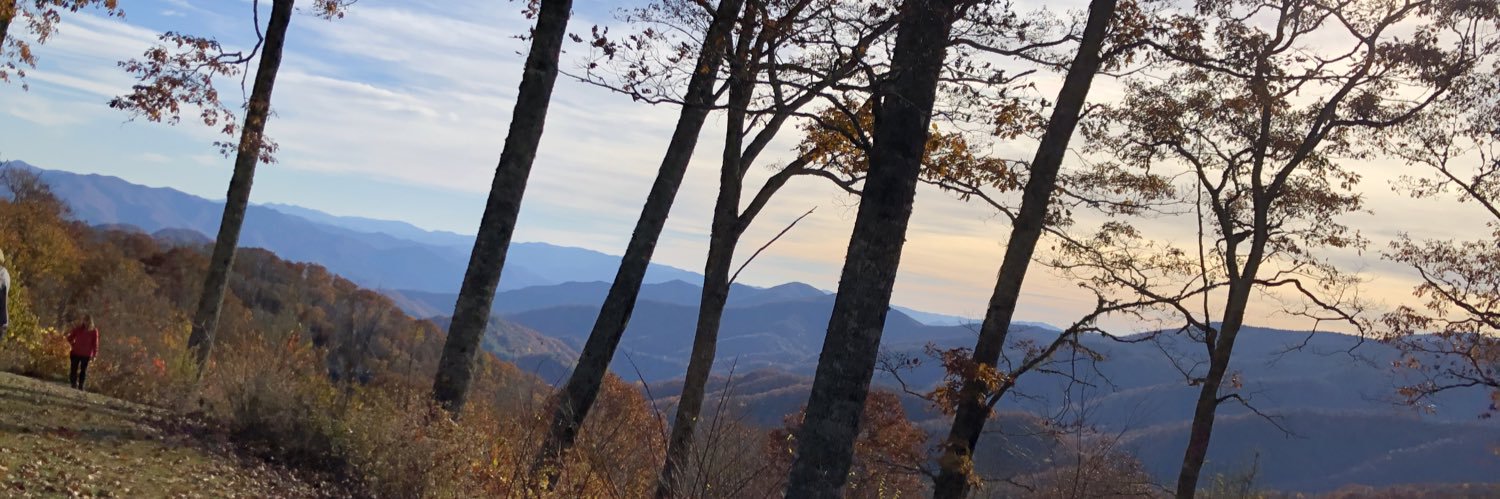 Jenlvogel's profile banner image