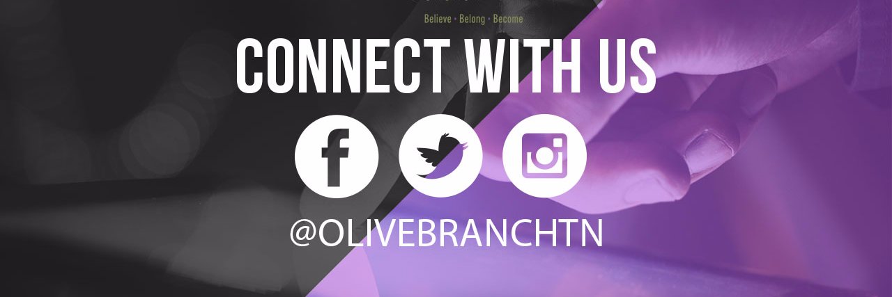 olivebranchTN's profile banner image