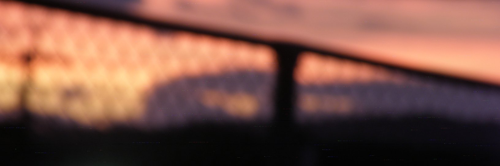 lionheart191's profile banner image