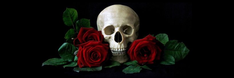Morticult's profile banner image