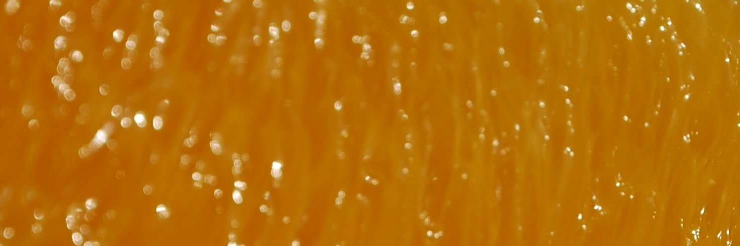MythicOrange's profile banner image