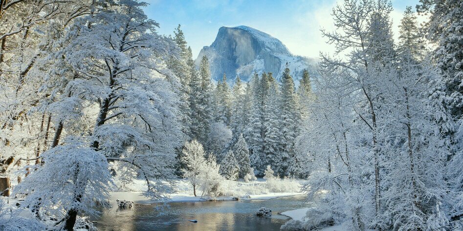 Android McBotsky banner