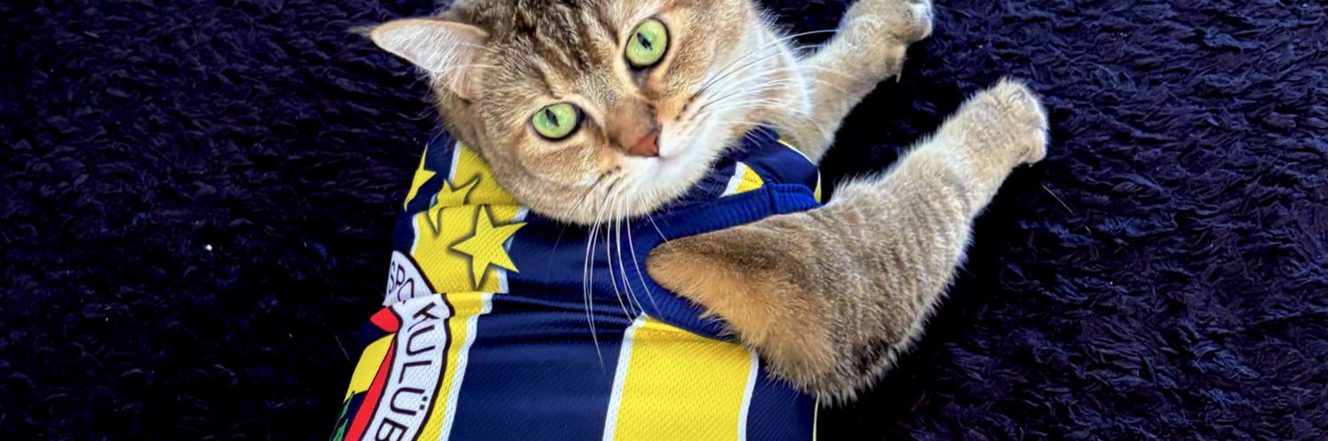 denizddmir's profile banner image