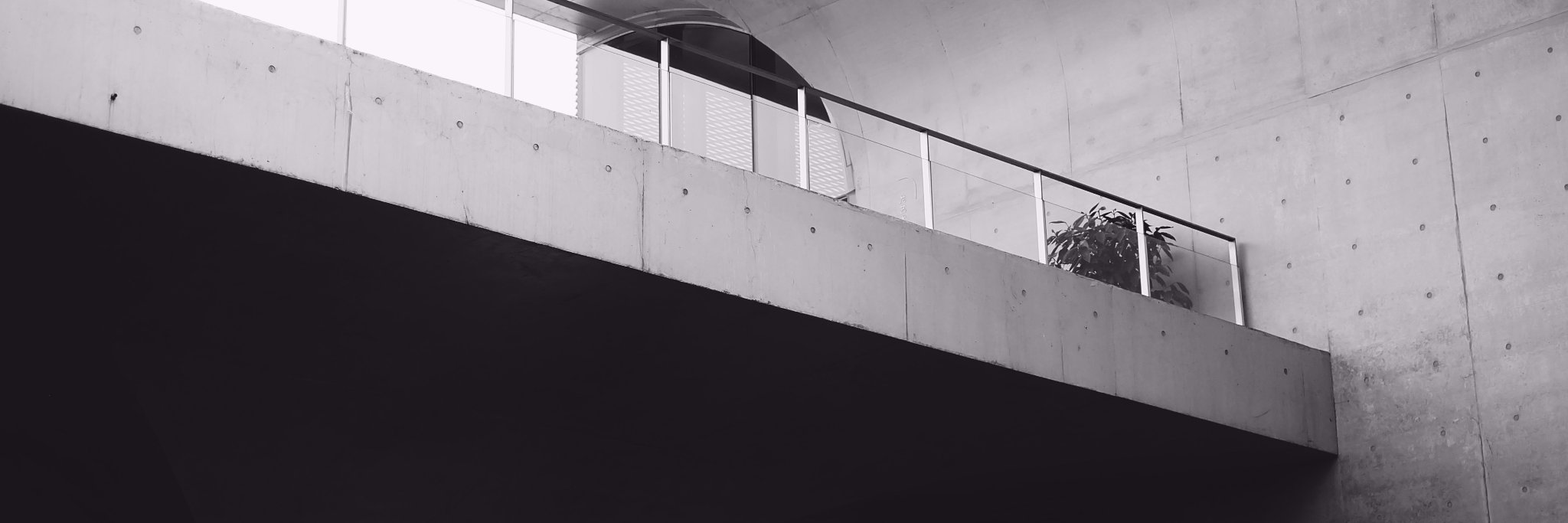 babibibibo's profile banner image