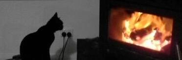 BTemperton's profile banner image