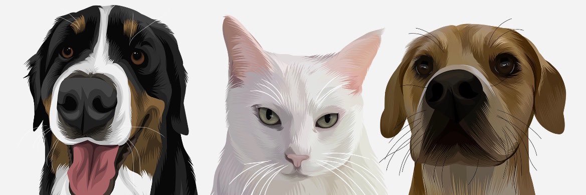 Kalob_lilly21's profile banner image