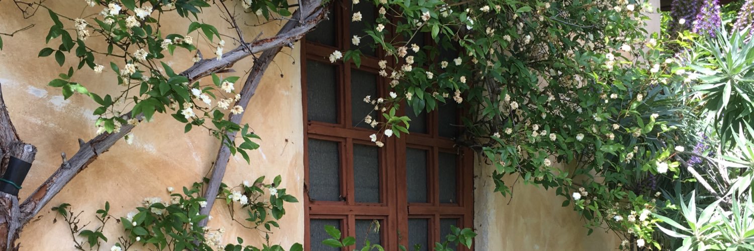 sandydunn's profile banner image