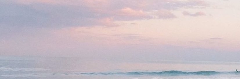 nicolefranzz's profile banner image