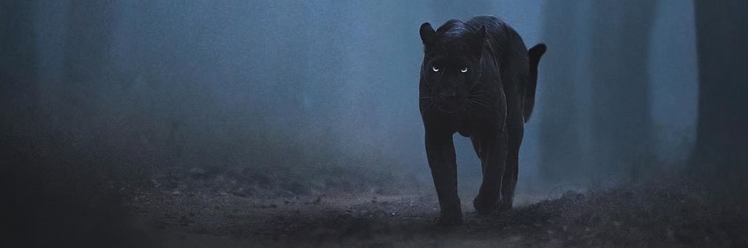 aphlp_'s profile banner image