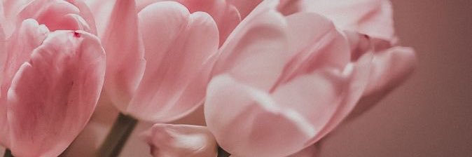 syda_hlws's profile banner image
