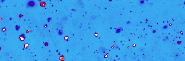 brantgibson Profile Banner