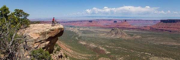 Nelson_GW Profile Banner