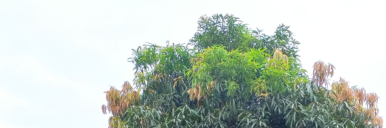Yudhatengs's profile banner image