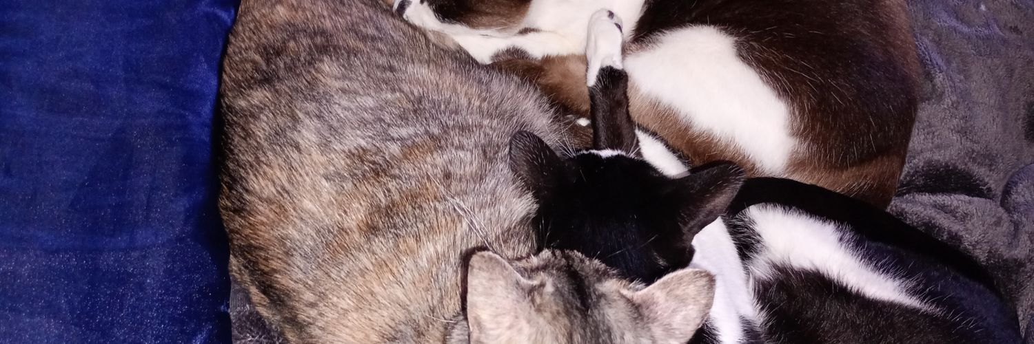 Rikaaa_p10's profile banner image