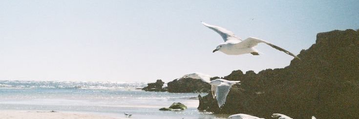 Adamasme's profile banner image