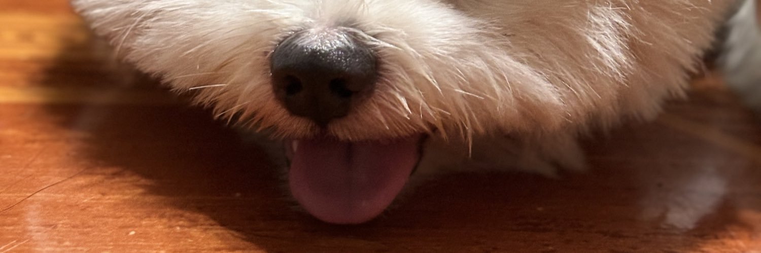 justinelocin's profile banner image