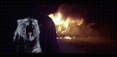 martingarrixind's profile banner image