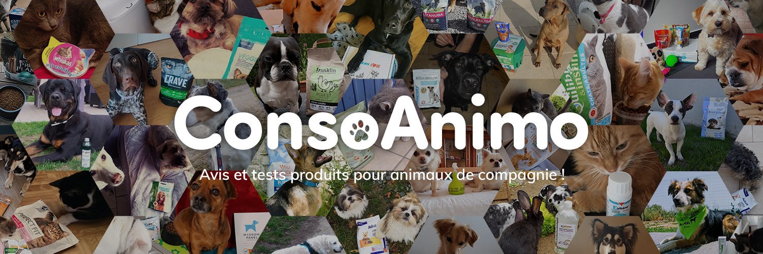 Conso Animo banner