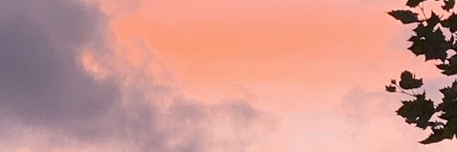 ZEDRICKBADASS's profile banner image