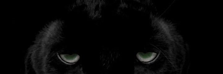 EyM212's profile banner image